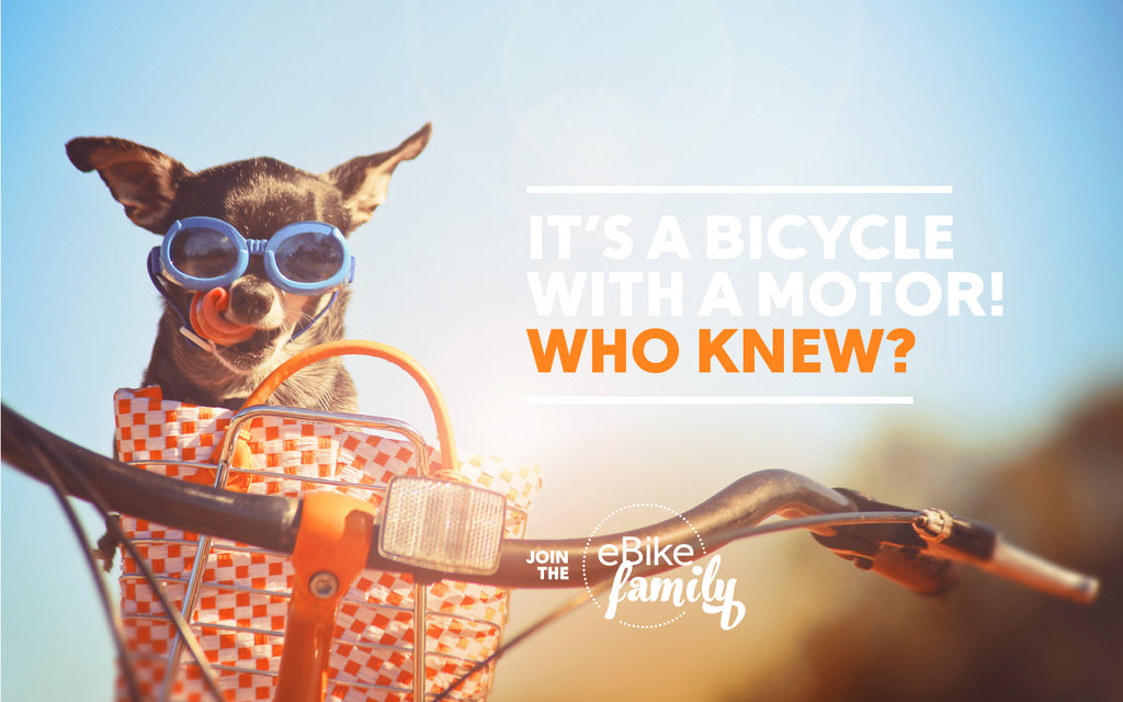 Electric Bikes Brisbane Hub-Drive vs Mid-Drive