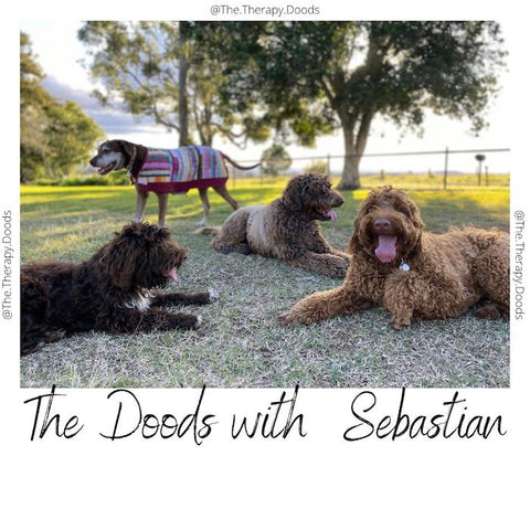 Kate's Doods with Sebby: Life with the Riese & Muller Load 75 ebike