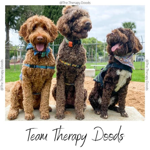 The Therapy Doods: Life with the Riese & Muller Load 75 ebike
