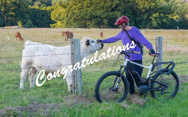 EBike Survey Winners 2020 | Electric Bikes Brisbane