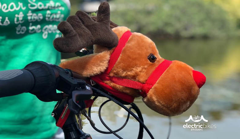 Electric Bikes Brisbane Owners Club Christmas Ride