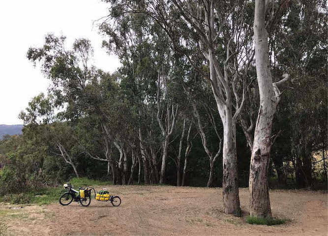 Andy's Victoria EBike Expedition | Electric Bikes Brisbane