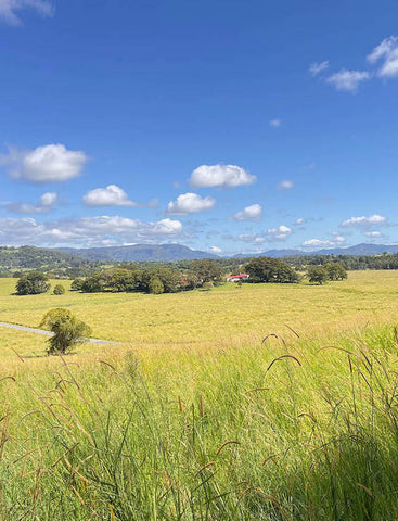 Mullumbimby EBike Rides