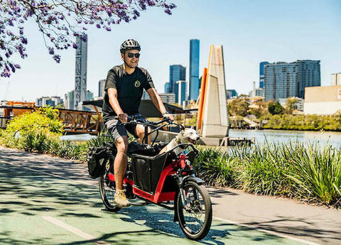 Carry your dog on your electric bike | Electric Bikes Brisbane