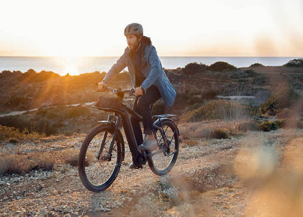 Riese & Muller electric bike
