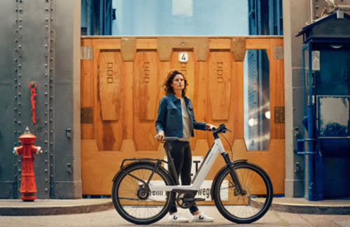 Riese & Muller Nevo3 ebike