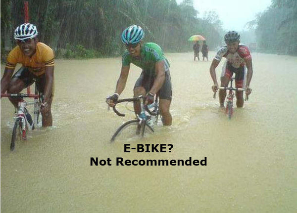 Don't ride ebikes in water that submerges your battery 