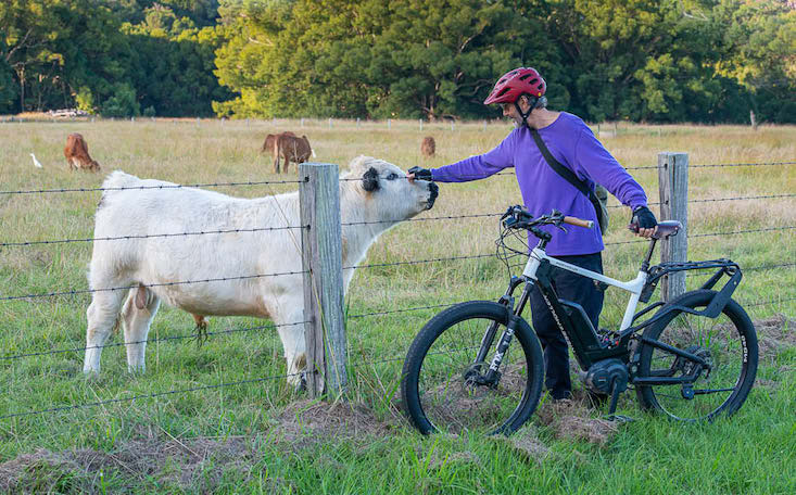 Ebikes: The best of cycling and motorcycling rolled into one