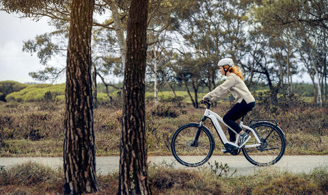 Riese & Muller Charger3 Mixte ebike