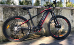 Earth T-Rex 29Sp eMTB EBike | Electric Bikes Brisbane