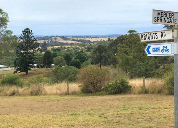 The Link Trail