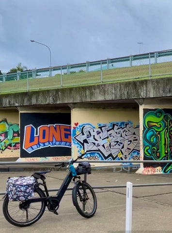 South Brisbane Bikeways: EBike Rides, BCC Graffiti Wall Tarragindi