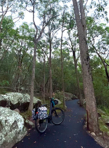 South Brisbane Bikeways: EBike Rides, Toohey Forest