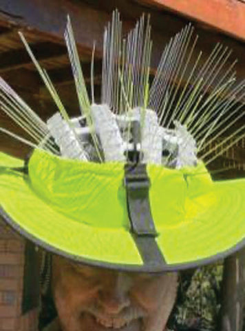 Ways to Deter Swooping Magpies | Electric Bikes Brisbane