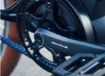 Riese & Muller Cruiser2 Vario EBike | Electric Bikes Brisbane