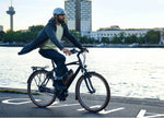 Riese & Muller Cruiser2 Vario EBike | Electric Bikes Brisbane