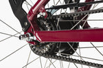 Riese & Müller Swing4 Silent EBike, Belt Drive | Electric Bikes Brisbane
