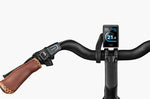 Riese & Müller Swing4 Vario EBike | Electric Bikes Brisbane