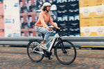 Riese & Muller Roadster4 Mixte Vario | Electric Bikes Brisbane
