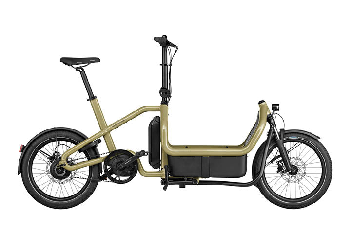 Riese & Muller Carrie Vario Cargo EBike, Anise | Electric Bikes Brisbane