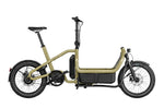 Riese & Muller Carrie Vario Cargo EBike, Anise | Electric Bikes Brisbane