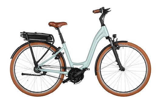 Riese & Müller Swing4 Silent EBike, Salvia | Electric Bikes Brisbane