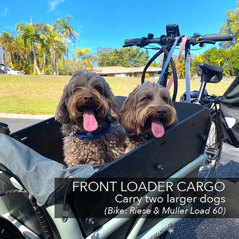 Carry your dog on your electric bike | Electric Bikes Brisbane