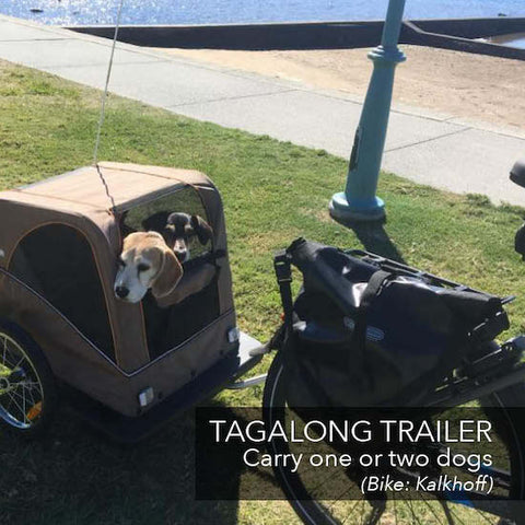 Carry your dog on your electric bike | Electric Bikes Brisbane