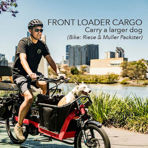 Carry your dog on your electric bike | Electric Bikes Brisbane