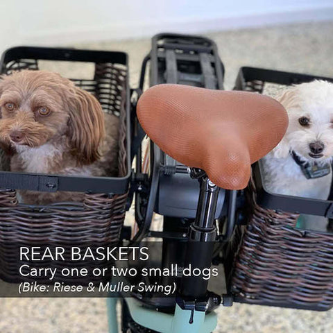 Carry your dog on your electric bike | Electric Bikes Brisbane