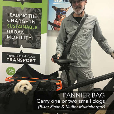 Carry your dog on your electric bike | Electric Bikes Brisbane