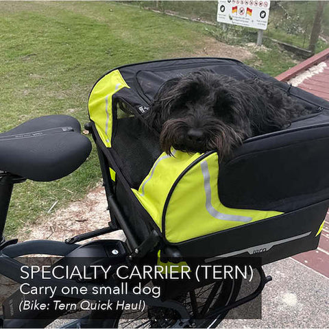 Carry your dog on your electric bike | Electric Bikes Brisbane