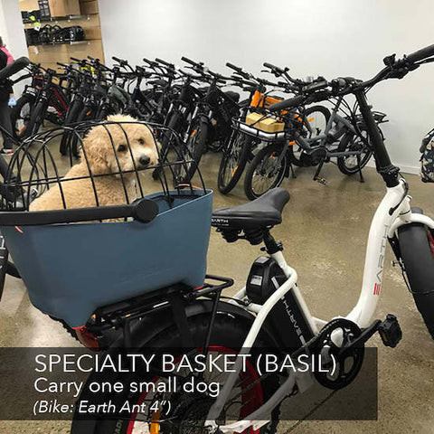 Carry your dog on your electric bike | Electric Bikes Brisbane
