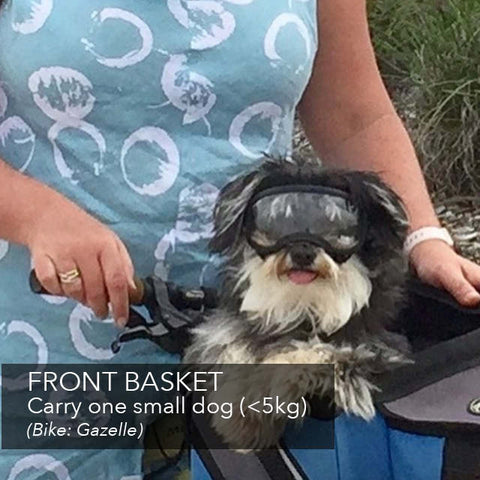 Carry your dog on your electric bike | Electric Bikes Brisbane