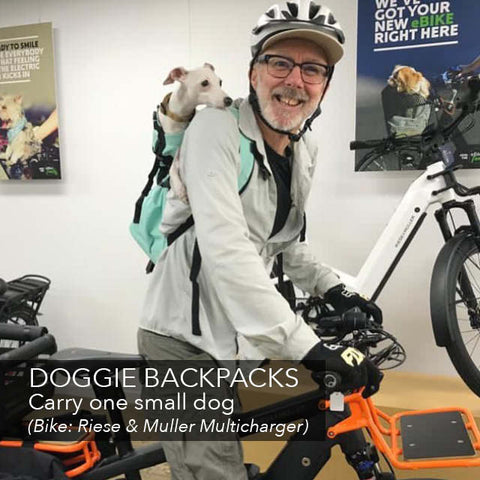 Carry your dog on your electric bike | Electric Bikes Brisbane